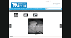 Desktop Screenshot of dryicebali.com