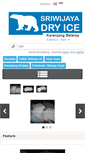 Mobile Screenshot of dryicebali.com