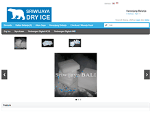 Tablet Screenshot of dryicebali.com